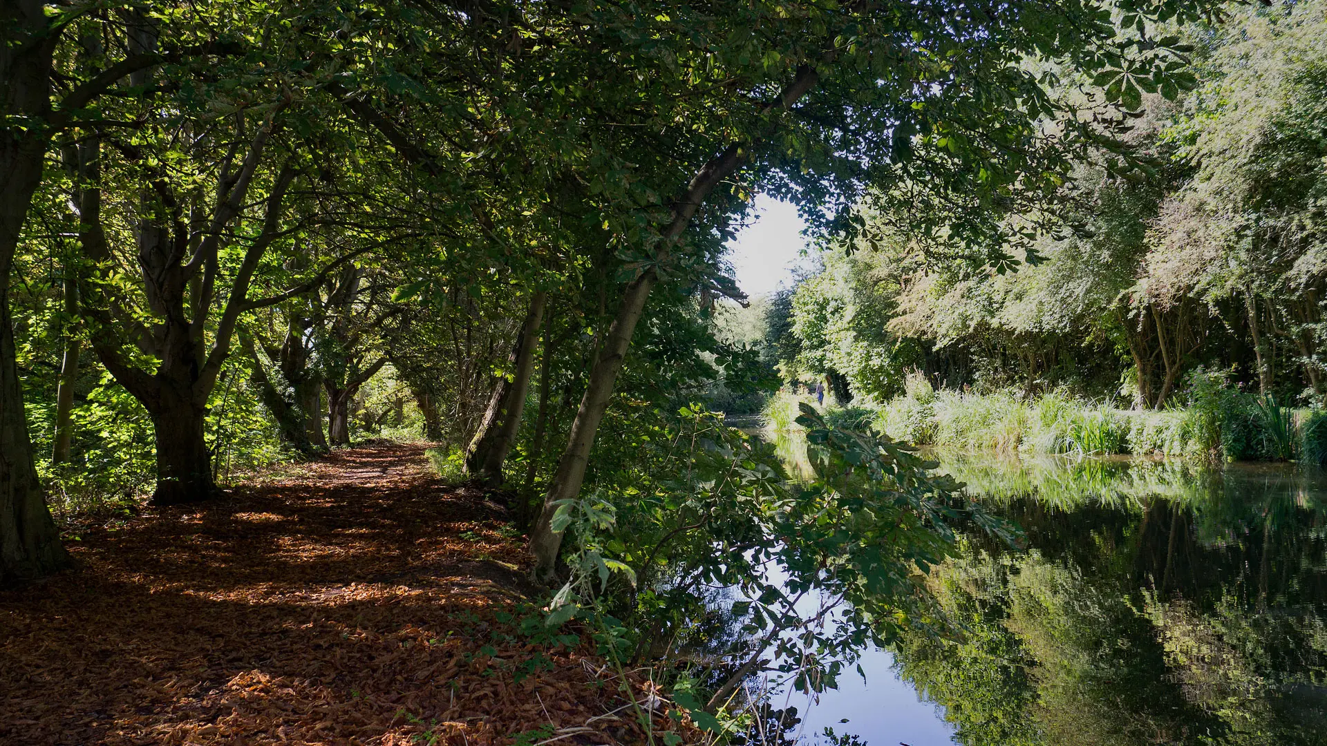 The River Stort in Harlow Essex, the tree lined path
